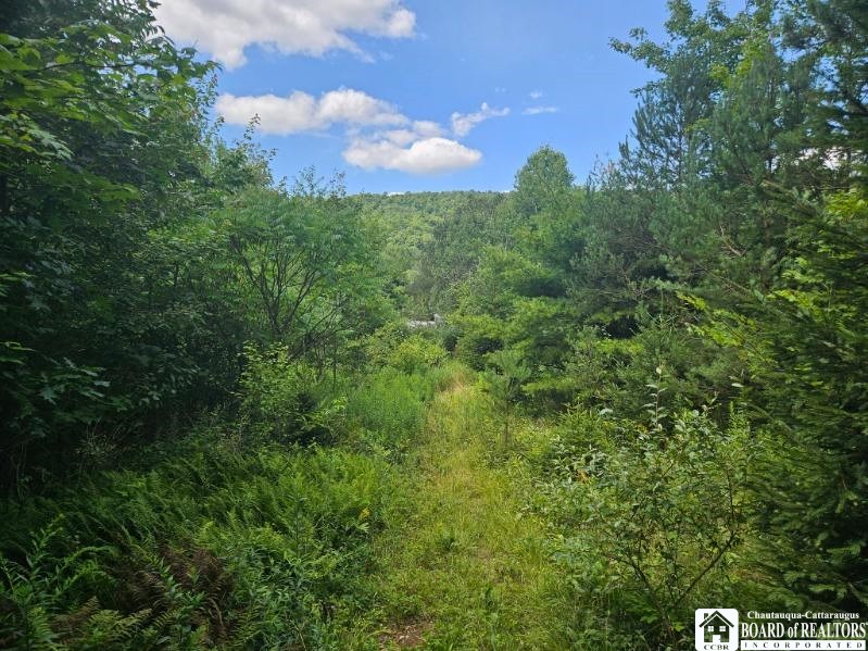 5162 Whig Street, Little Valley, New York image 9
