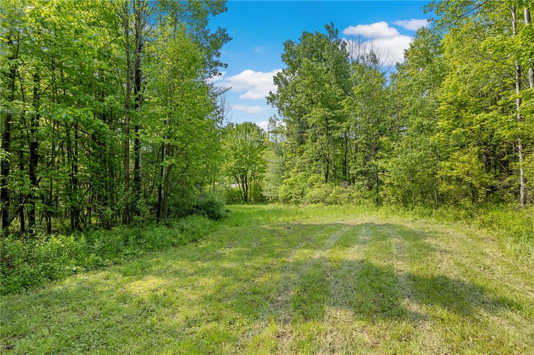 9392 Bronson Road, Wayland, New York image 36