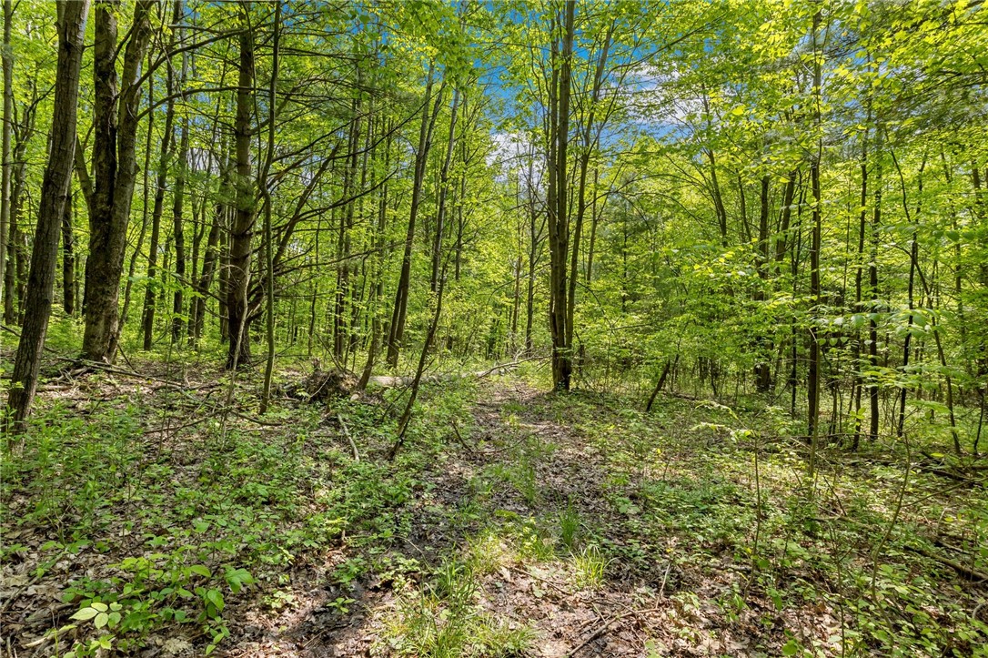 9392 Bronson Road, Wayland, New York image 35