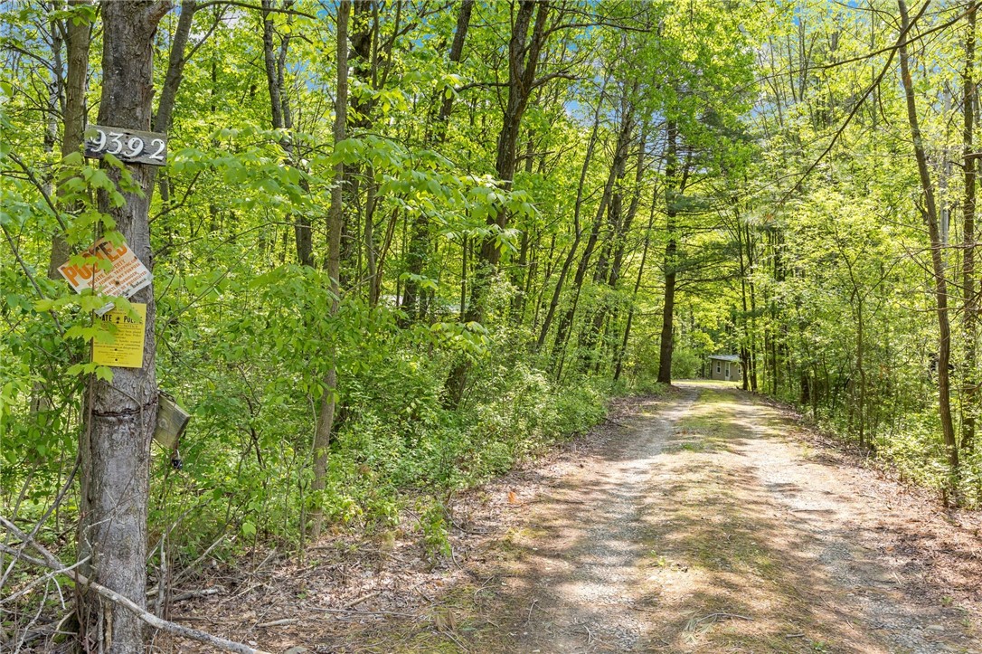9392 Bronson Road, Wayland, New York image 41