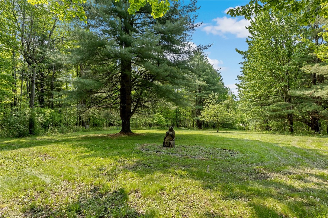 9392 Bronson Road, Wayland, New York image 34