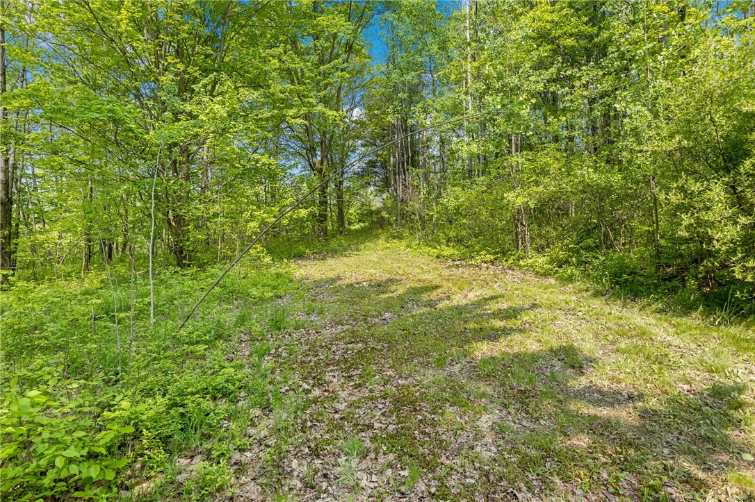 9392 Bronson Road, Wayland, New York image 38