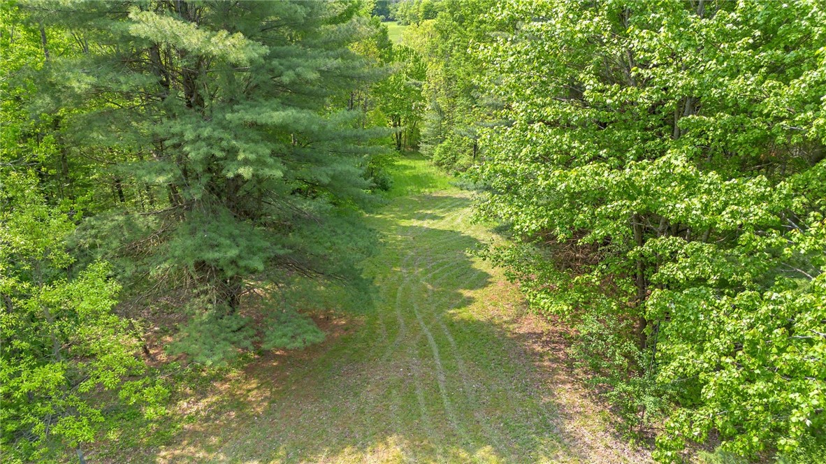 9392 Bronson Road, Wayland, New York image 47