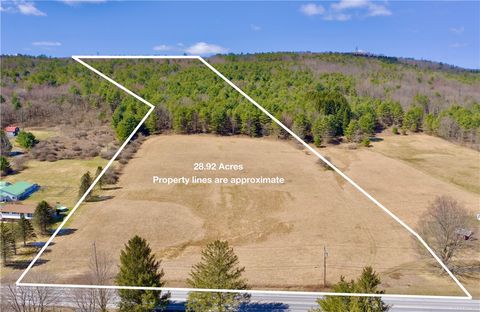 Photo of 0 State Highway 23, Oneonta, NY 13820 (MLS # R1596118)