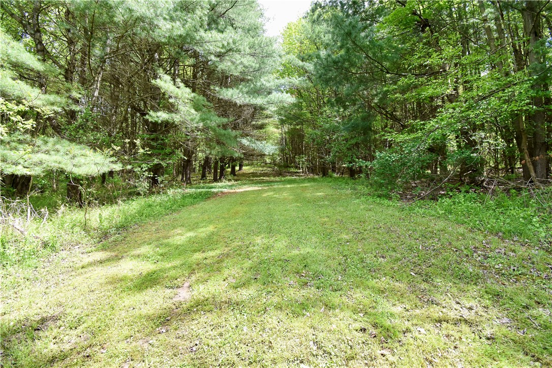 6296 State Route 226, Bath, New York image 21