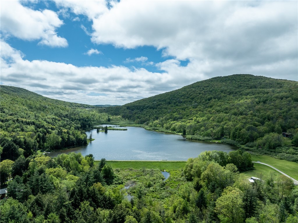 Lot 14 Deer Path, Jefferson, New York image 10