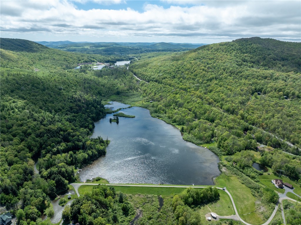 Lot 14 Deer Path, Jefferson, New York image 9