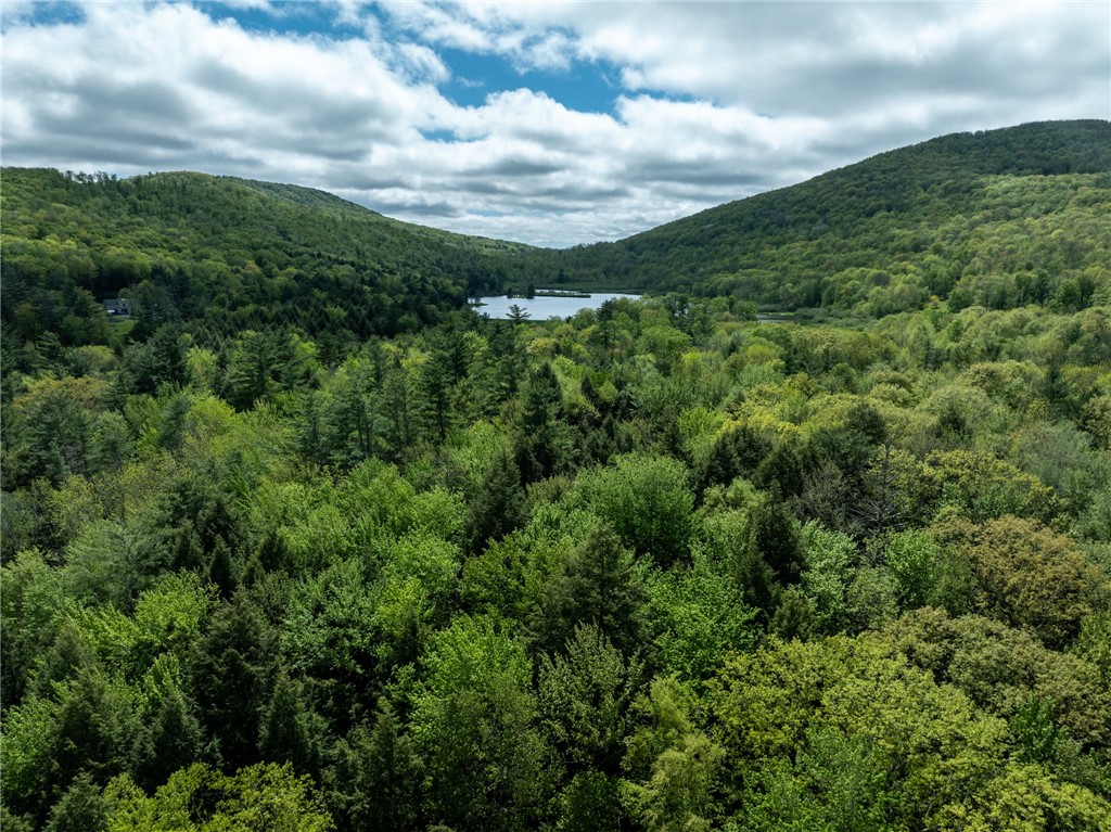 Lot 14 Deer Path, Jefferson, New York image 11