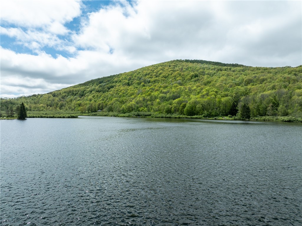 Lot 14 Deer Path, Jefferson, New York image 6
