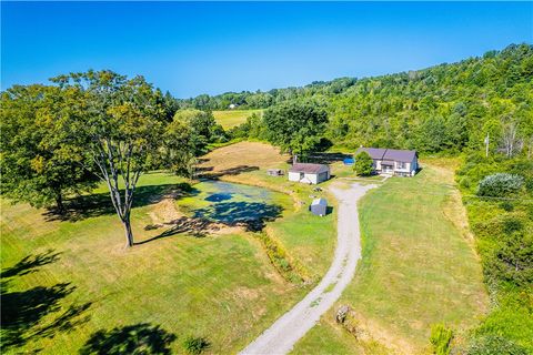 1063 County Road 5 Painted Post NY 14870