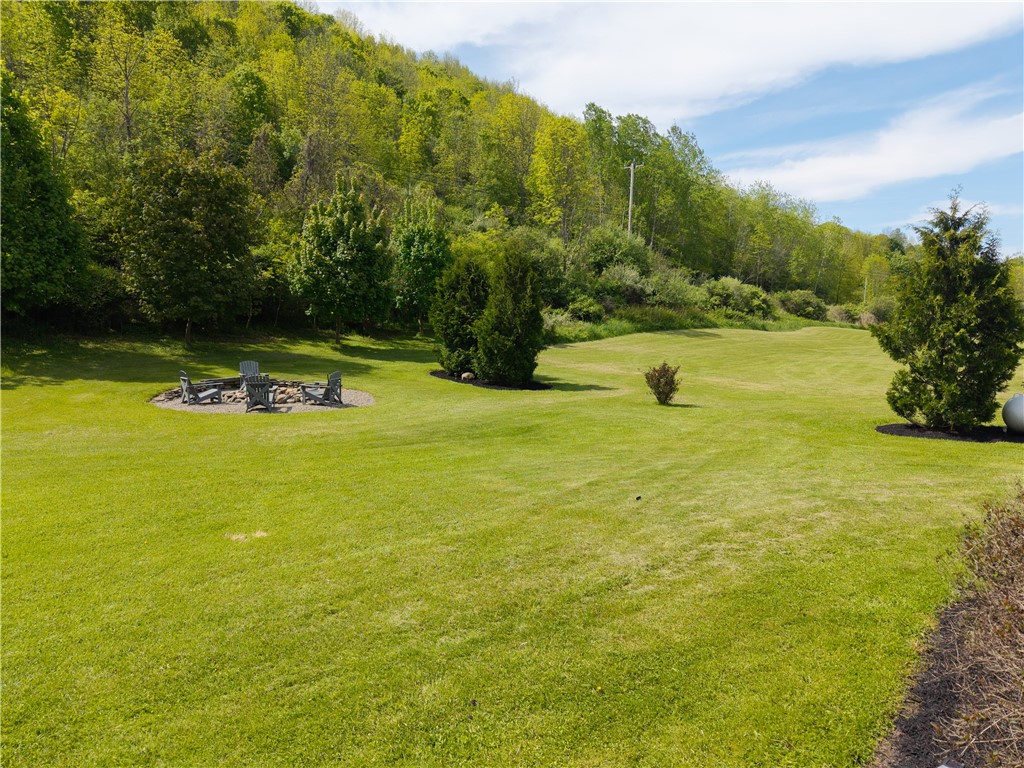 2371 Rough And Ready Road, Greenwood, New York image 39