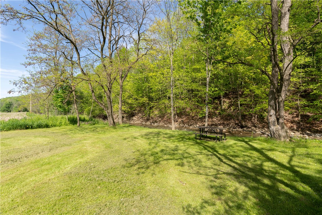 2371 Rough And Ready Road, Greenwood, New York image 44