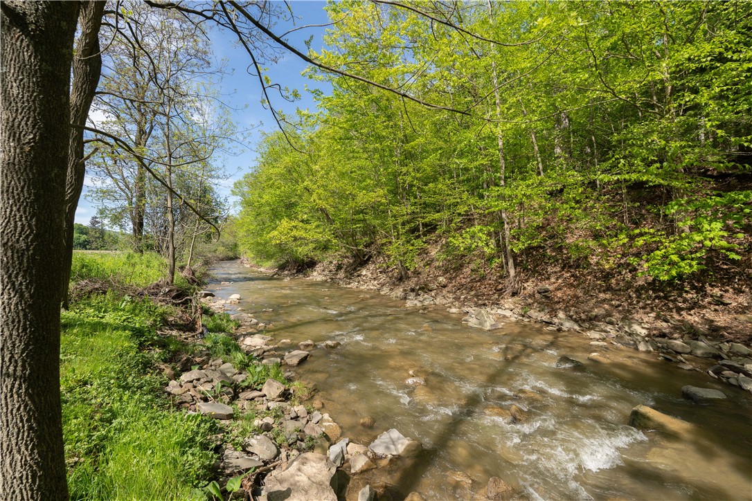 2371 Rough And Ready Road, Greenwood, New York image 45