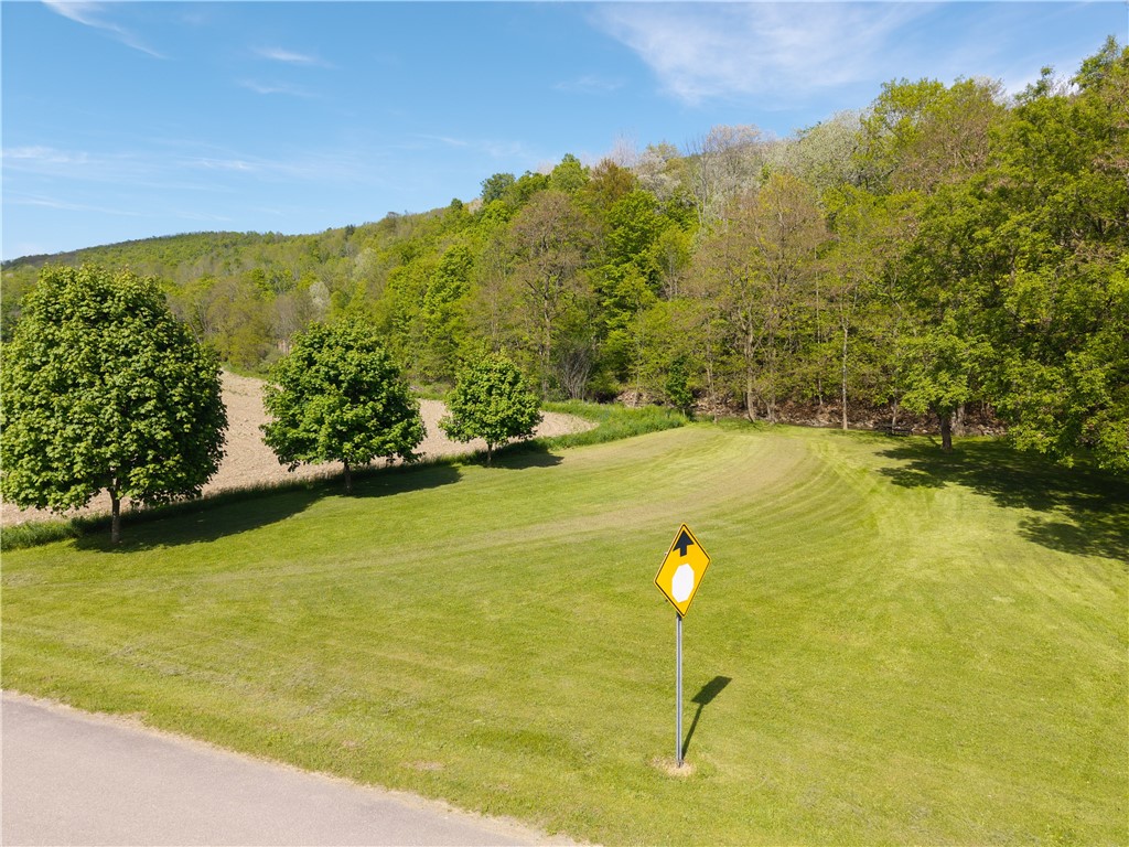 2371 Rough And Ready Road, Greenwood, New York image 42