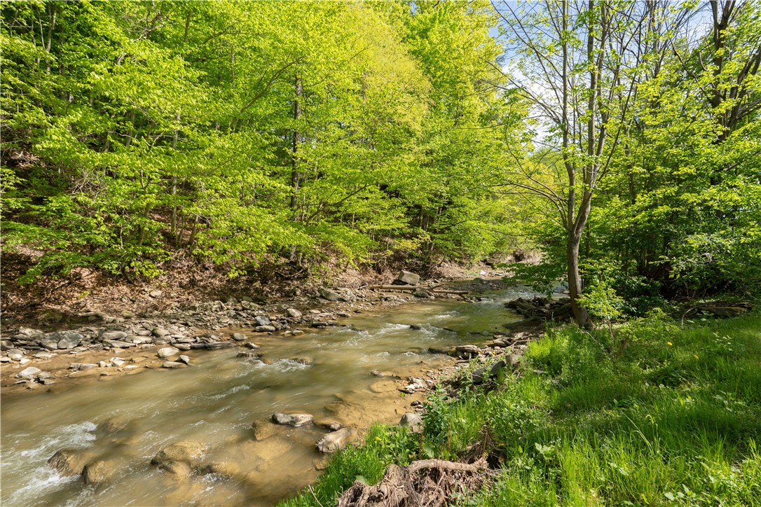 2371 Rough And Ready Road, Greenwood, New York image 46