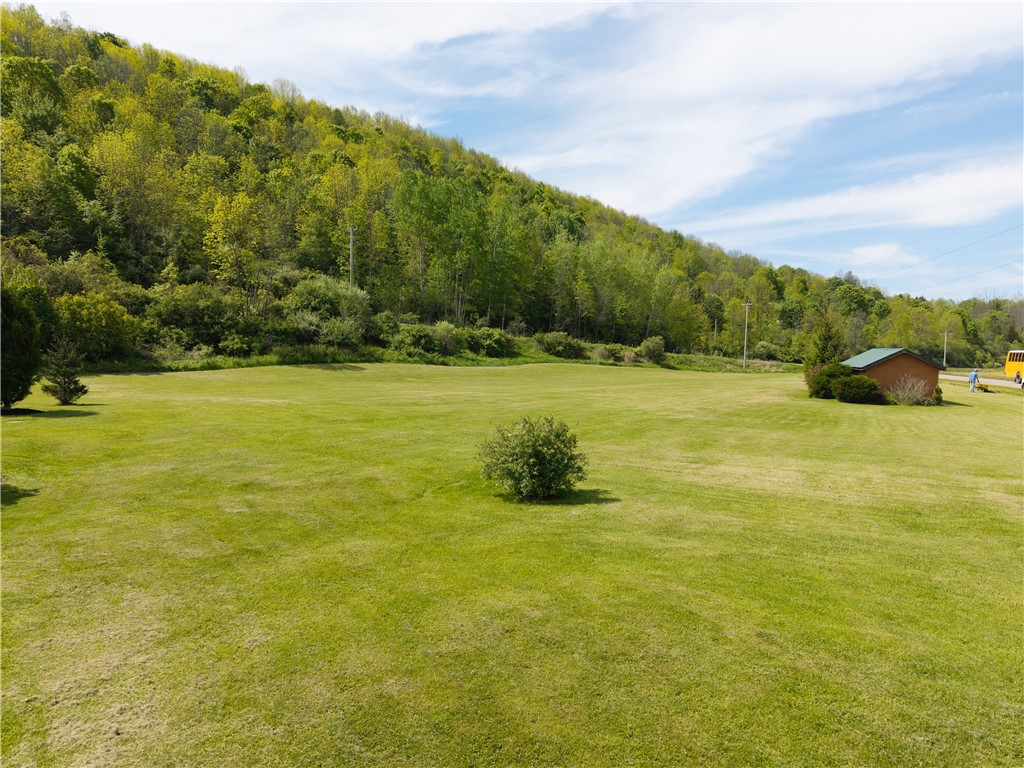 2371 Rough And Ready Road, Greenwood, New York image 41