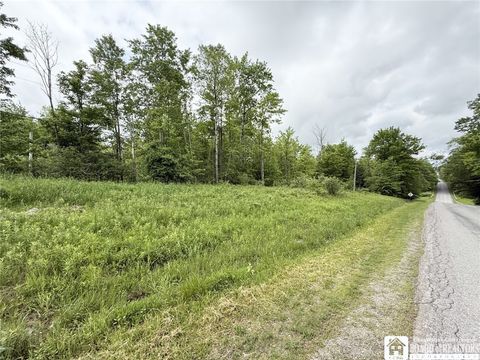 0 Luce Road Bemus Point NY 14712