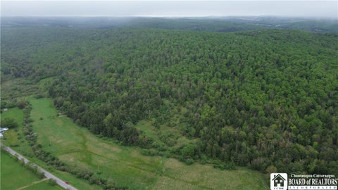 Vacant Land For Sale - Fulmer Valley Road<br/> Wellsville, NY 14895