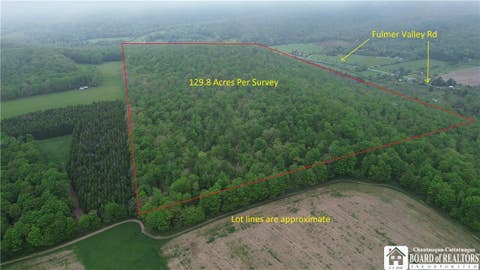 Vacant Land For Sale - Fulmer Valley Road<br/> Wellsville, NY 14895
