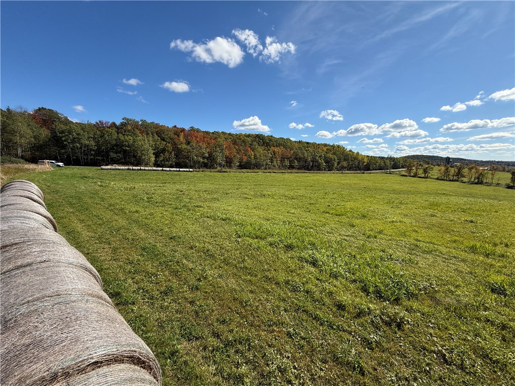 Parrott Road, Chemung, New York image 6