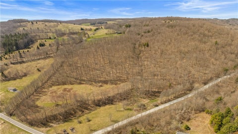Vacant Land For Sale - L9.113 Lutheranville Road<br/> Summit, NY 12064