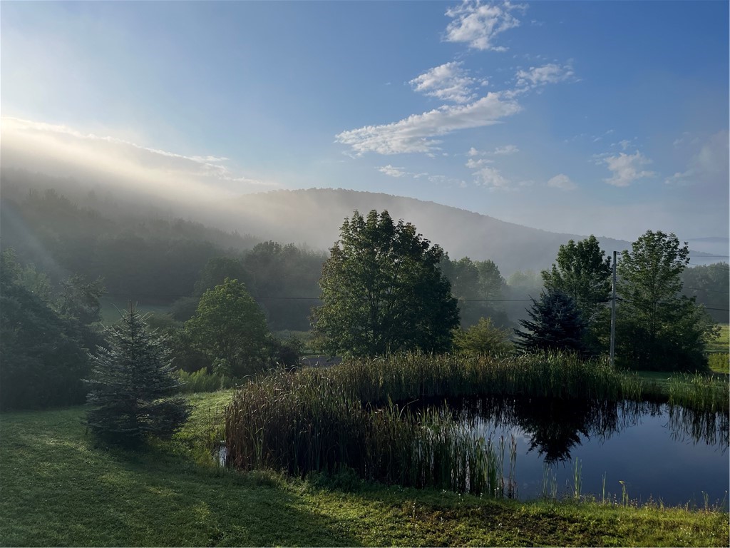 2133 Close Hollow Road, Andes, New York image 28