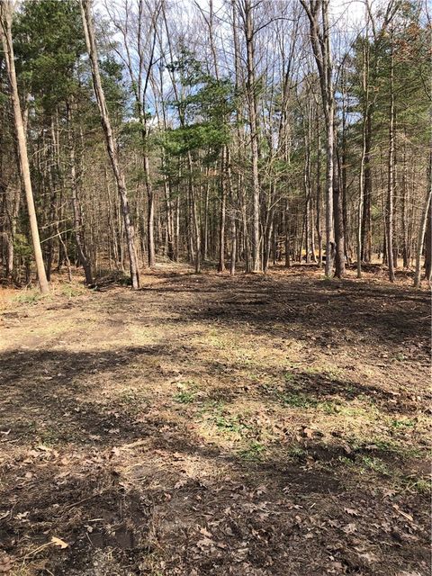 Vacant Land For Sale - Maple Drive<br/> Milford, NY 13820