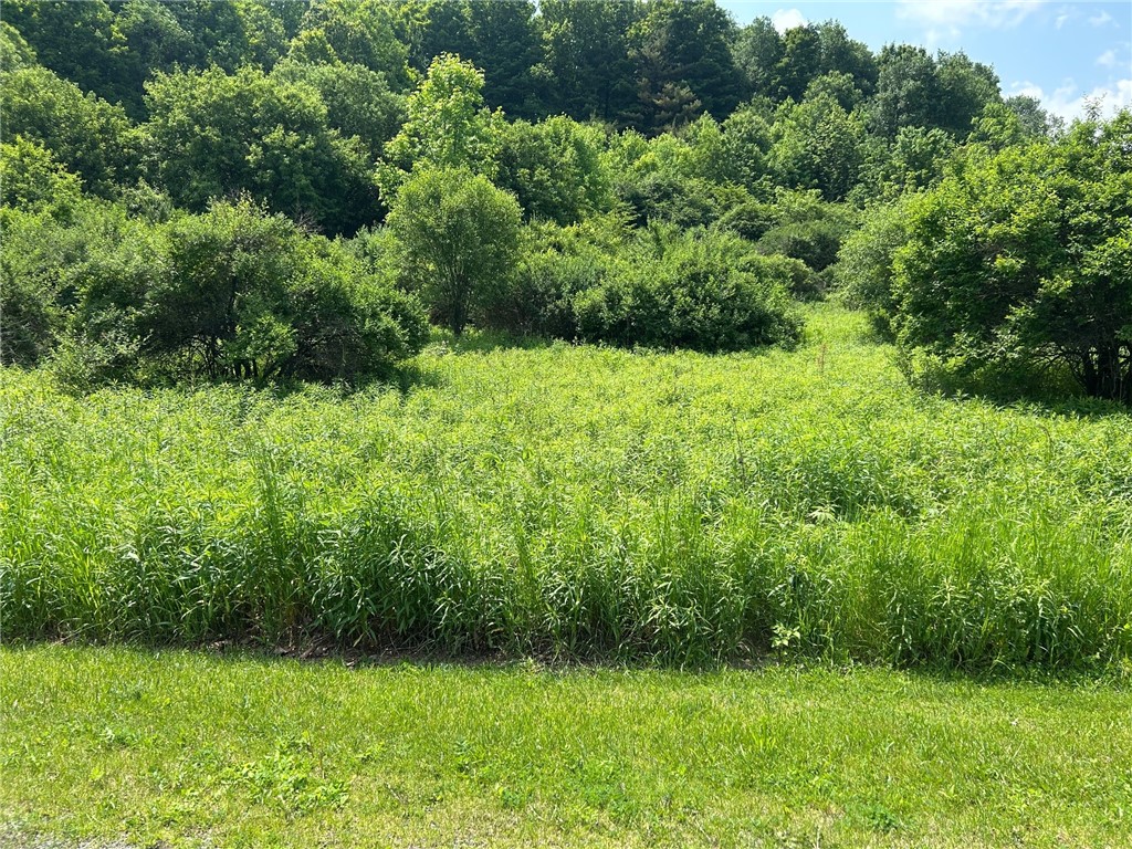 Clark Rd Extension, Almond, New York image 1