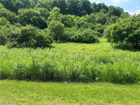 Vacant Land For Sale - Clark Rd Extension<br/> Allegany County, Almond, NY 14803