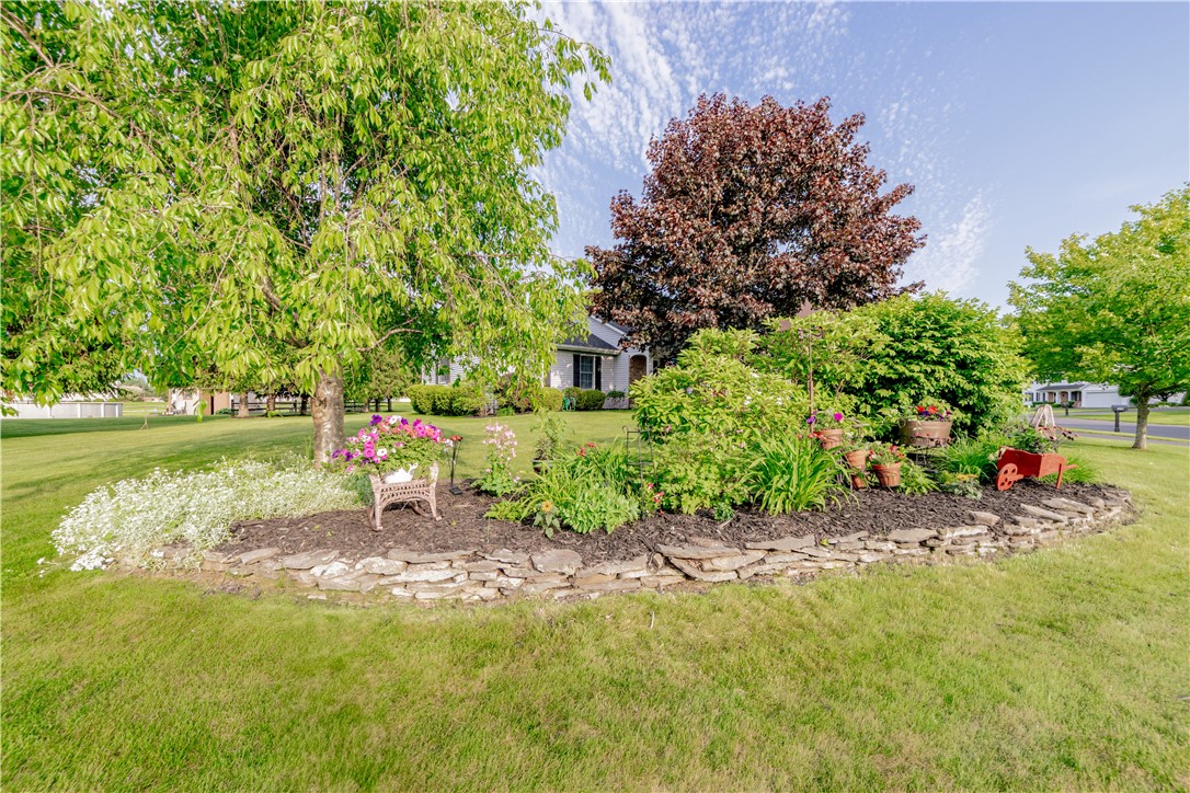 920 Limpet Drive, Webster, New York image 5