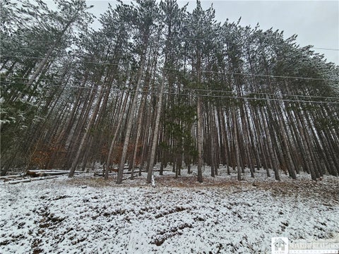 Photo for Butternut Brook Road