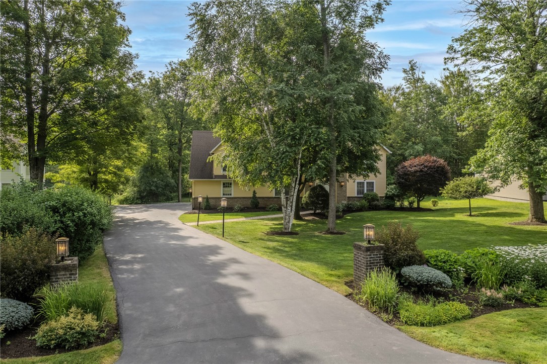 7 Juniper Lane