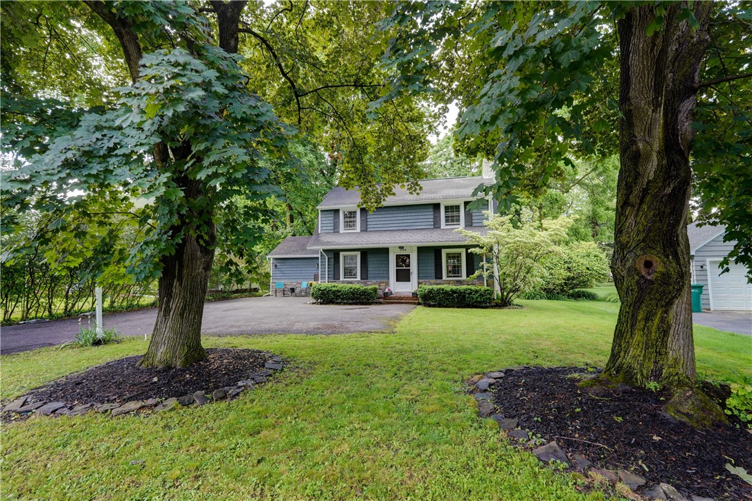 2744 Elmwood Avenue, Brighton, New York image 3