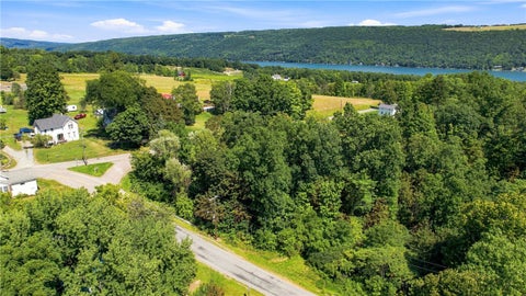 Photo of Roff Hill Road, Pulteney, NY 14874 (MLS # R1709669)