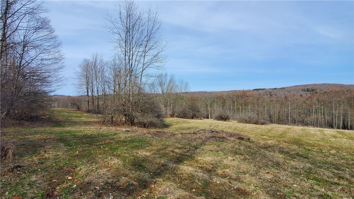 Lot 3 Goddards Road, New Lisbon, New York image 27