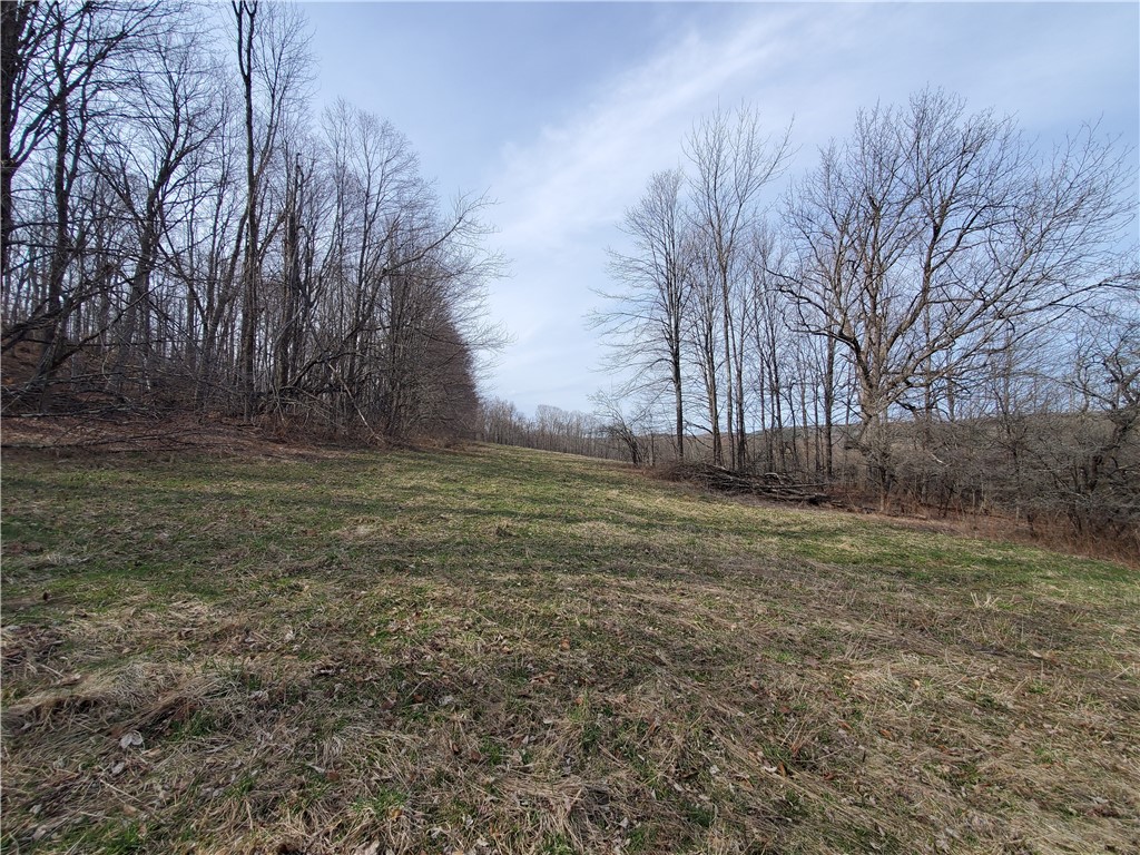 Lot 3 Goddards Road, New Lisbon, New York image 26