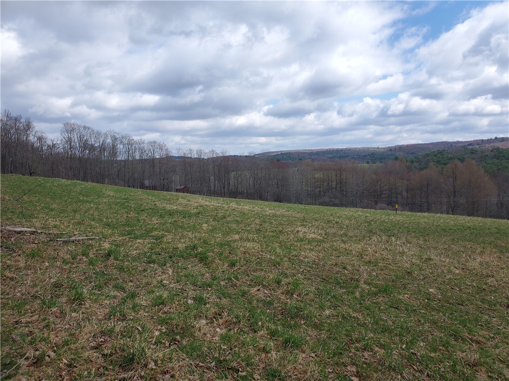Lot 3 Goddards Road, New Lisbon, New York image 19