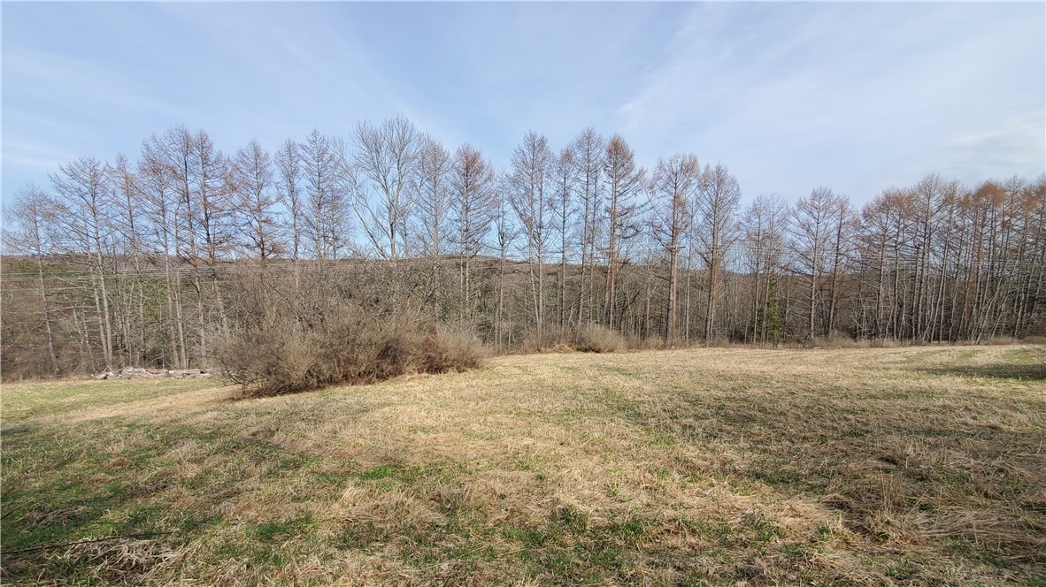 Lot 3 Goddards Road, New Lisbon, New York image 23