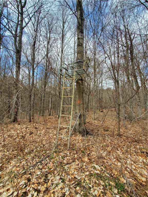 Lot 3 Goddards Road, New Lisbon, New York image 13