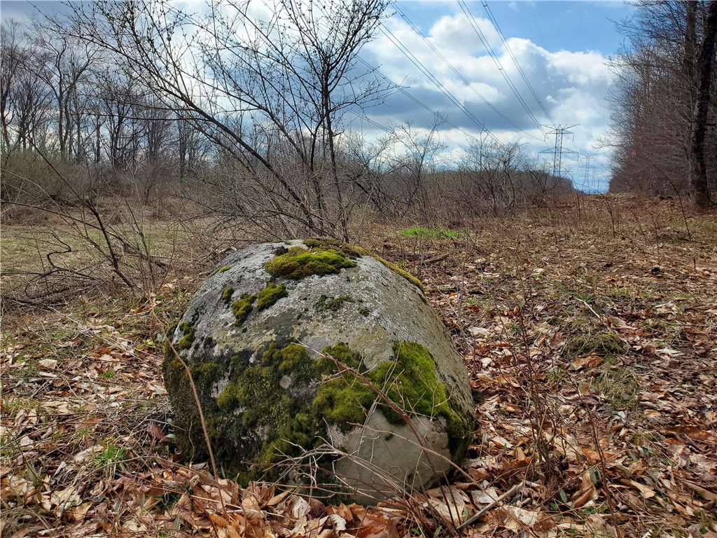 Lot 3 Goddards Road, New Lisbon, New York image 12