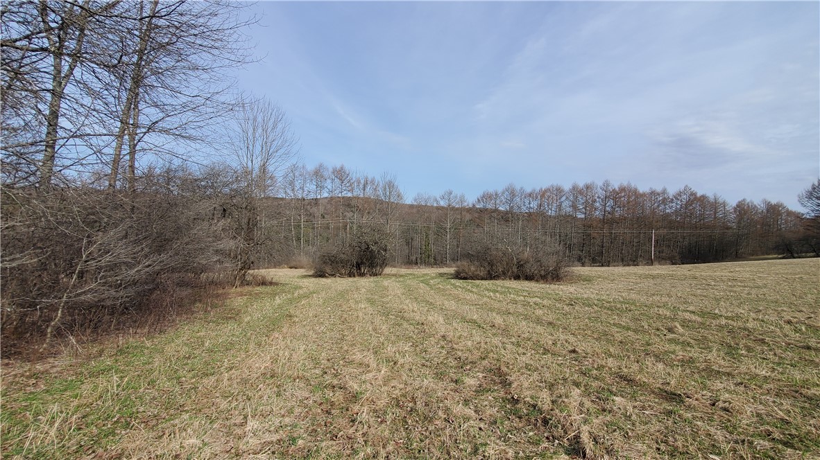 Lot 3 Goddards Road, New Lisbon, New York image 24