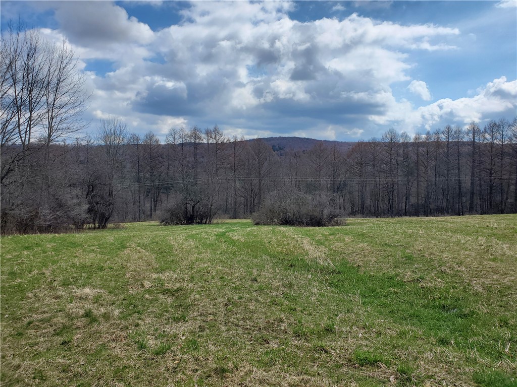 Lot 3 Goddards Road, New Lisbon, New York image 4