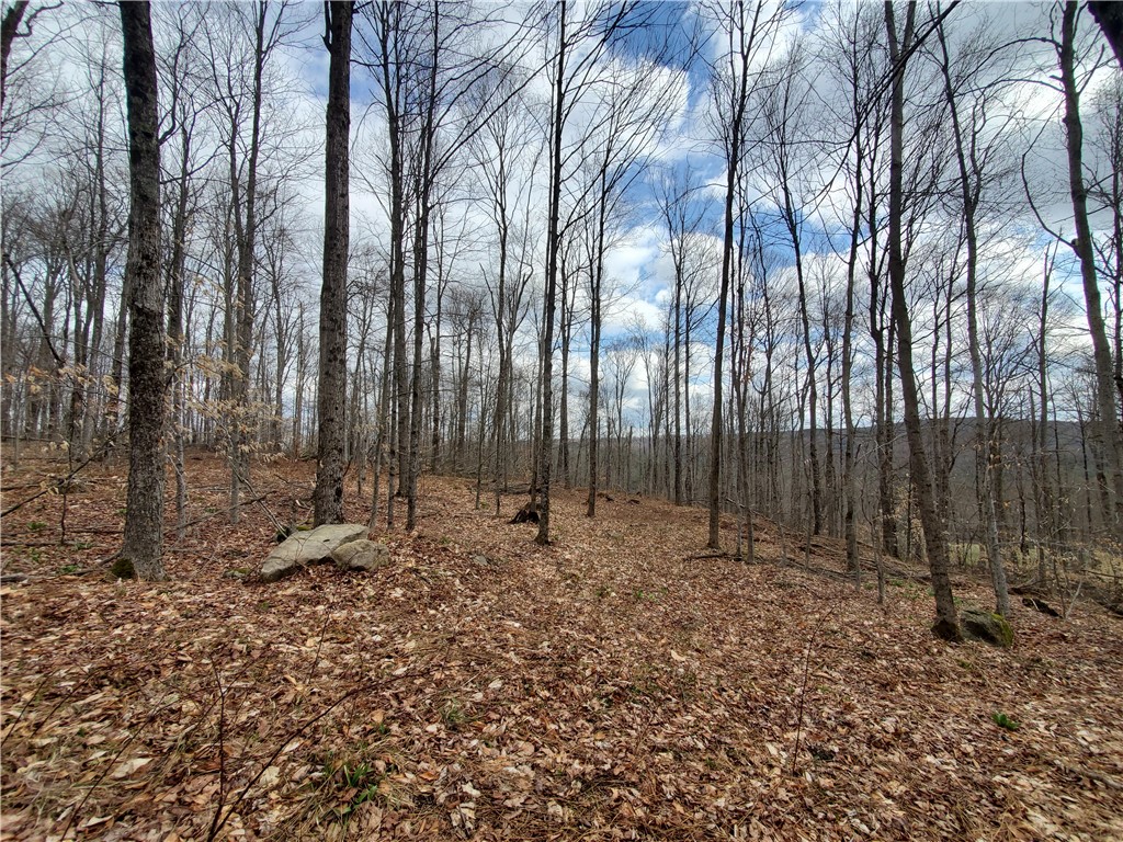Lot 3 Goddards Road, New Lisbon, New York image 10
