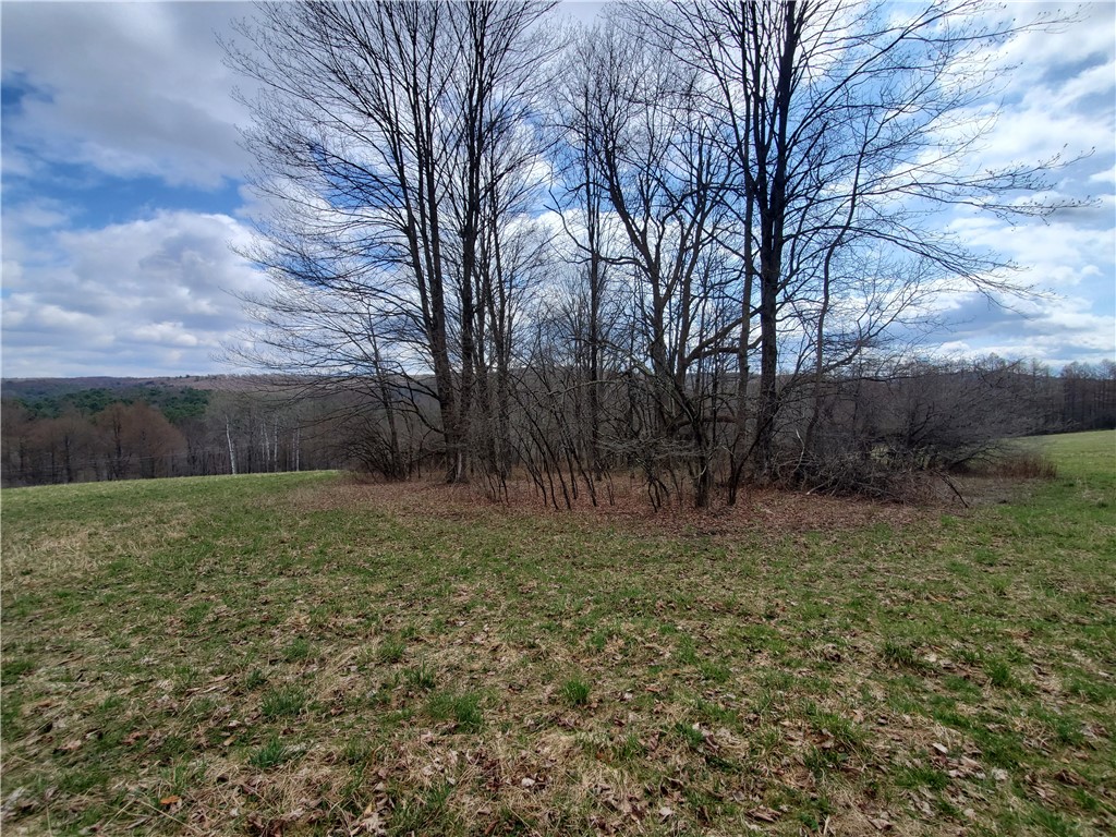 Lot 3 Goddards Road, New Lisbon, New York image 7