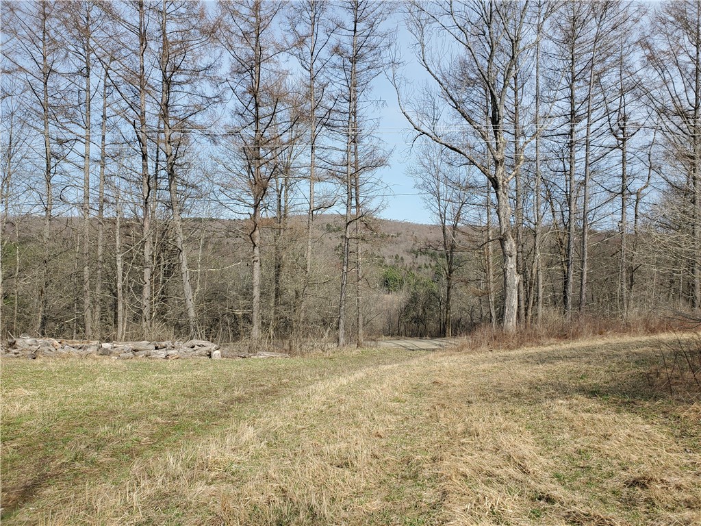 Lot 3 Goddards Road, New Lisbon, New York image 21