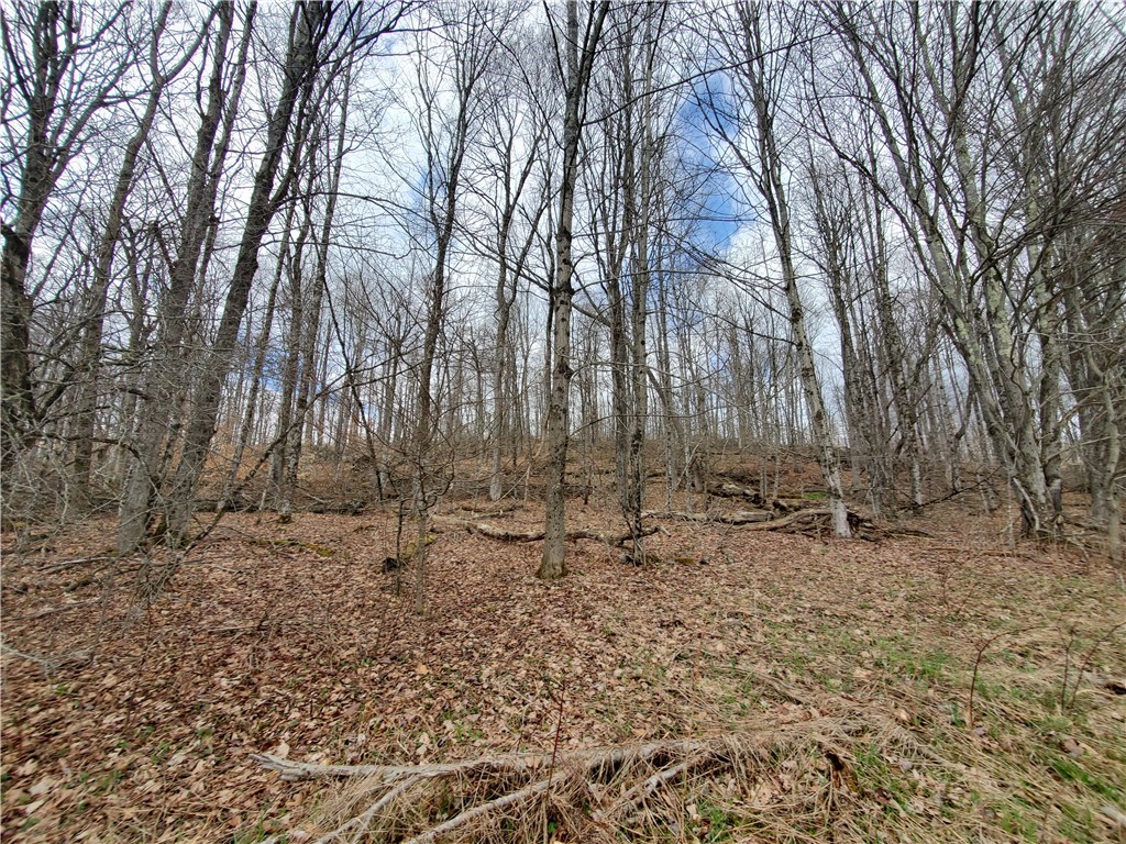 Lot 3 Goddards Road, New Lisbon, New York image 8