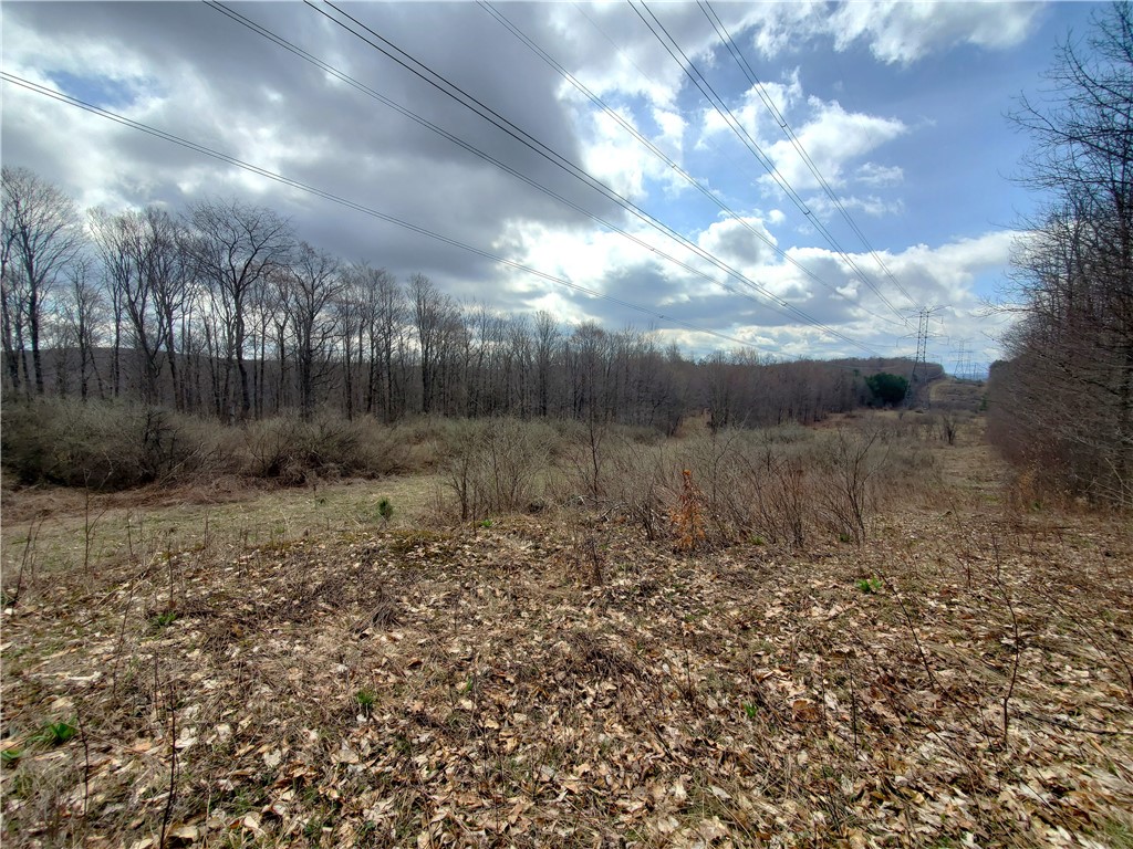 Lot 3 Goddards Road, New Lisbon, New York image 14