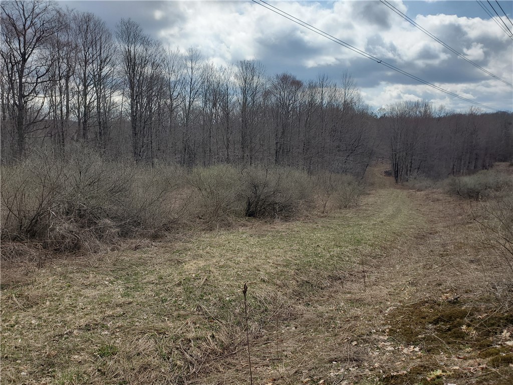 Lot 3 Goddards Road, New Lisbon, New York image 15