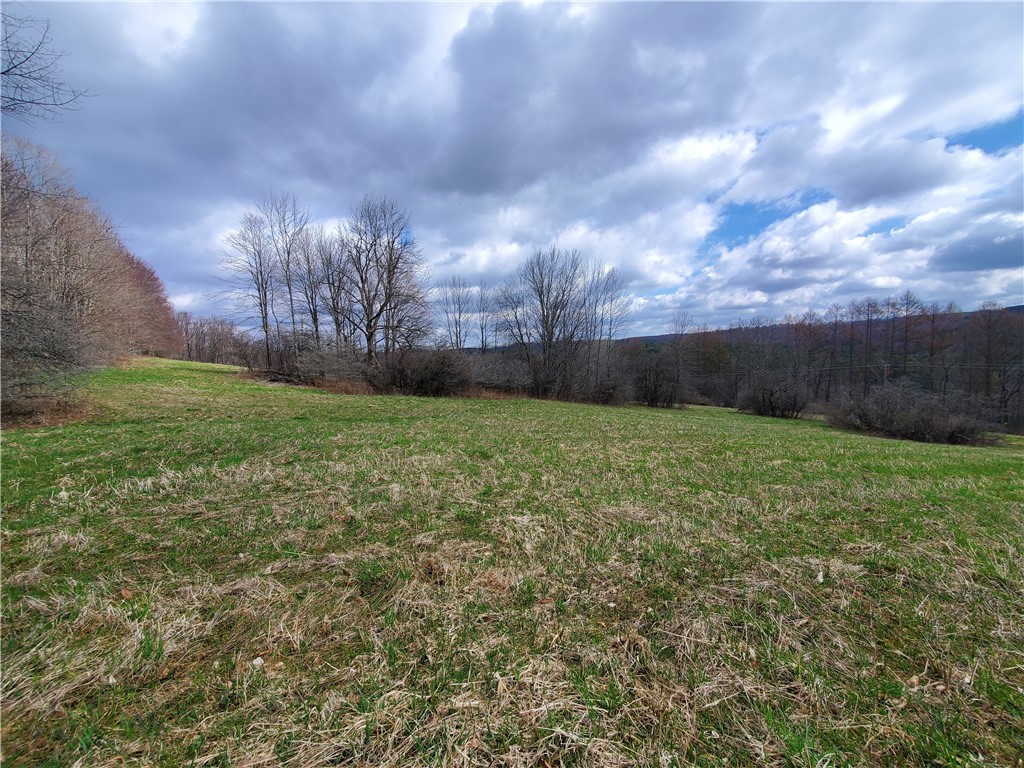 Lot 3 Goddards Road, New Lisbon, New York image 3