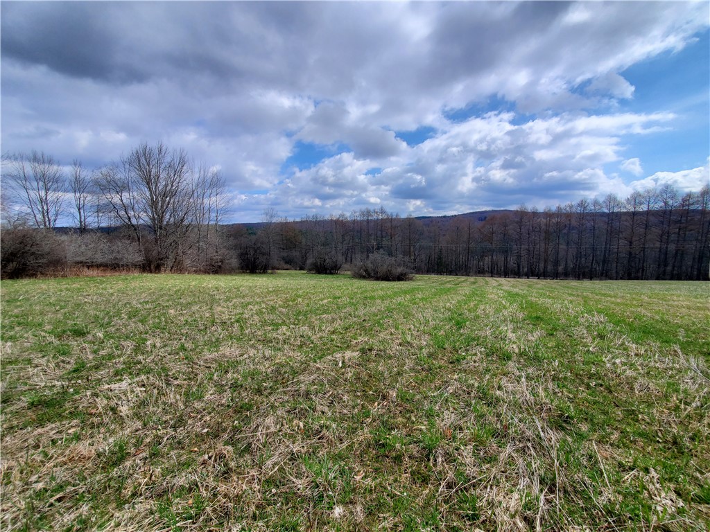 Lot 3 Goddards Road, New Lisbon, New York image 2